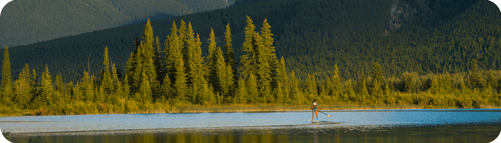 bamboo paddle board on lake with trees